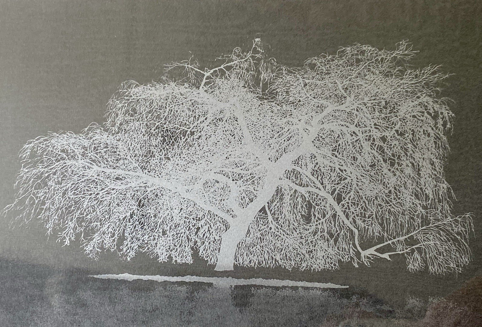 Picture 10 of 22