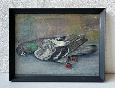 Ölbild Tote Taube Vogel Tierporträt 1937 mit Monogramm im Bilderrahmen - Bild 1 von 4