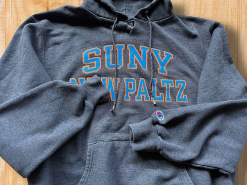 VINTAGE CHAMPION SUNY NEW PALTZ HAWKS MENS SMALL GRAY NCAA SWEAT SHIRT HOODIE - Picture 9 of 14