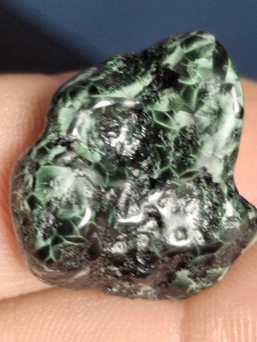 Big 7.3g Polished Michigan Isle Royale Greenstone Chlorastrolite Polished Gem 💎
