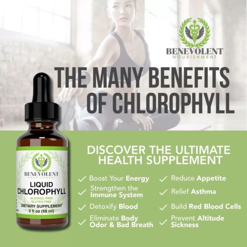 Benevolent Nourishment flüssiges Chlorophyll 2 flüssige Unzen pflanzliche Ergänzung NEU IM KARTON - Bild 2 von 10
