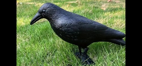 Lot Of 5 Crow Raven Decoys For Garden Or Halloween Decoration Brand New From USA