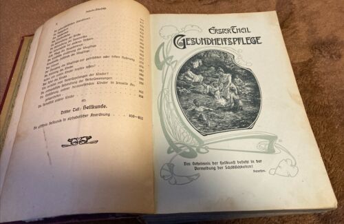 Altes Buch von 1908 Die Frau als Hausärztin alt antik wunderbar #41 - Bild 4 von 21