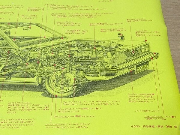 Picture 6 of 8