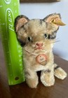 Bild 8 von 11