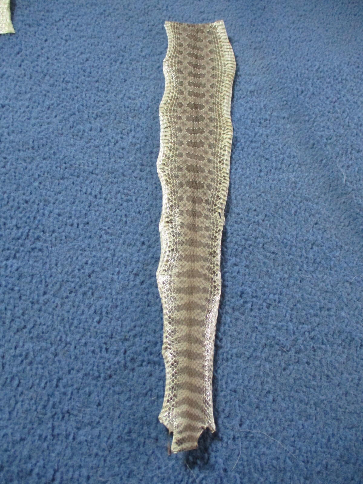 Picture 3 of 3