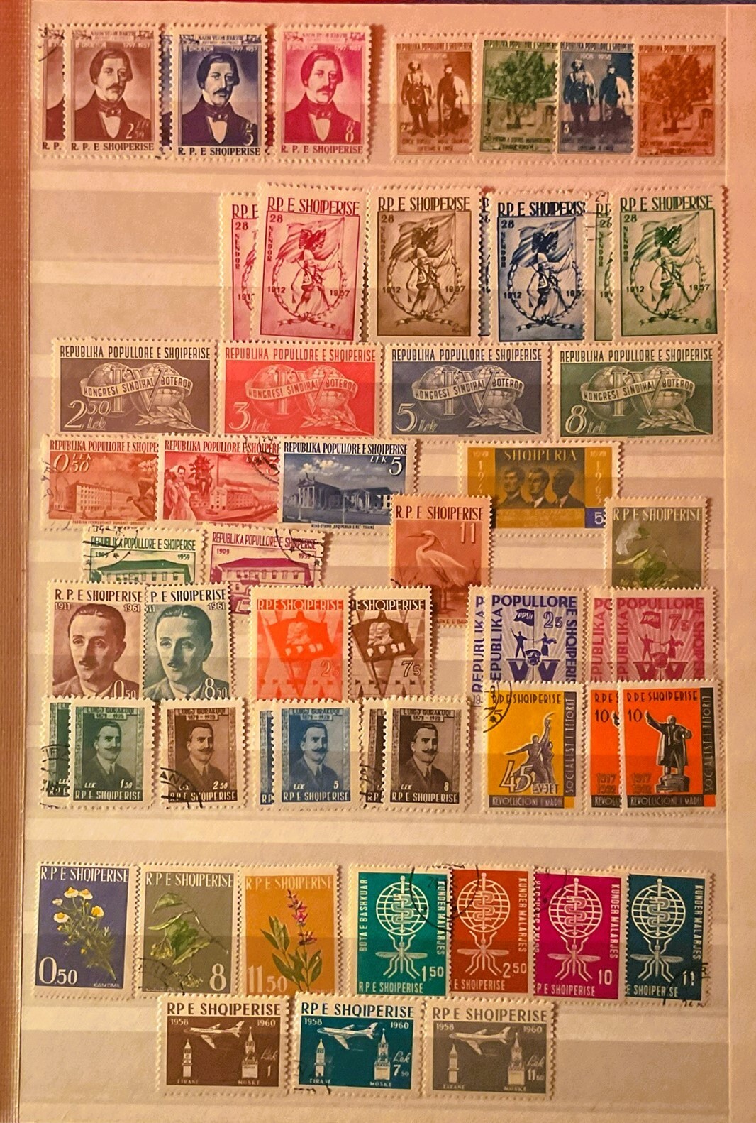 Picture 4 of 17