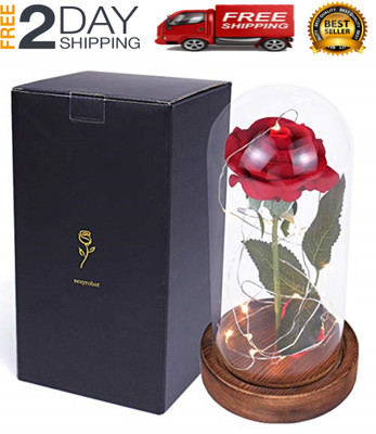 /'/'La bella y la bestia/'/' Rosa de seda roja en el domo de cristal valentine/'s day