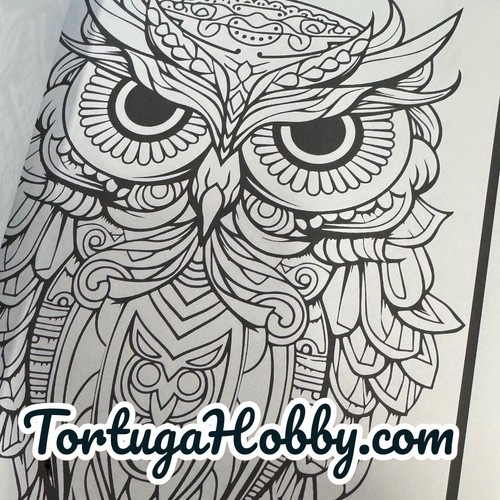 Owls -  Coloring Book. 100+ Pages. - Picture 6 of 9