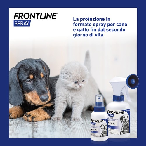 FRONTLINE Spray 250 ml Antiparassitario per Cani e Gatti e Cuccioli dal Secondo - Foto 11 di 24