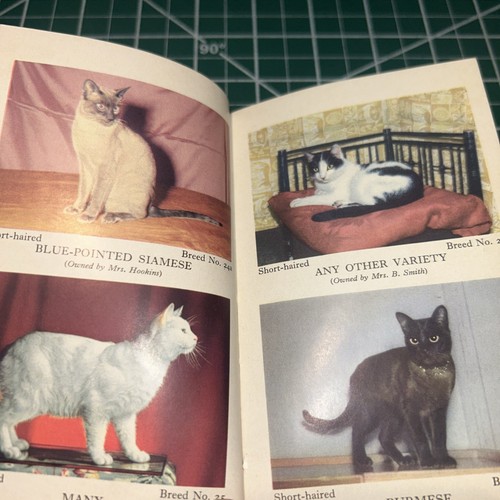Das Beobachterbuch der Katzen Grace Pond 1961 - Bild 13 von 14