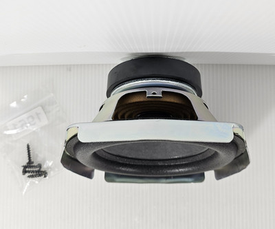 Bose Cinemate Series II Subwoofer Speaker Internal SPEAKER