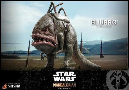Blurrg™ Star Wars Sixth Scale Figure by Hot Toys - Picture 3 of 12