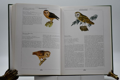 Owls of the World - Picture 9 of 12