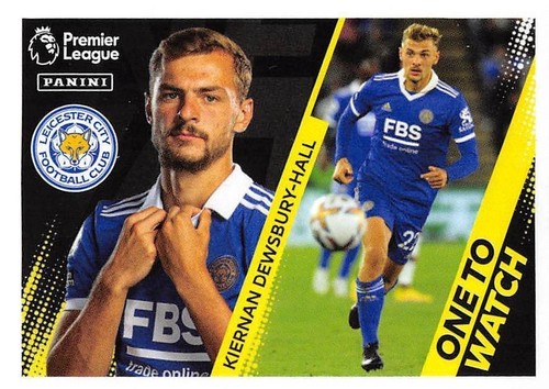 ADESIVO PANINI PREMIER LEAGUE 2023 - #226 - #433 EVERTON - MAN CITY 2022/23 - Foto 145 di 209