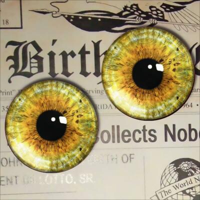Red Glass Cat Eyes Realistic Taxidermy Doll Eyeballs 15mm