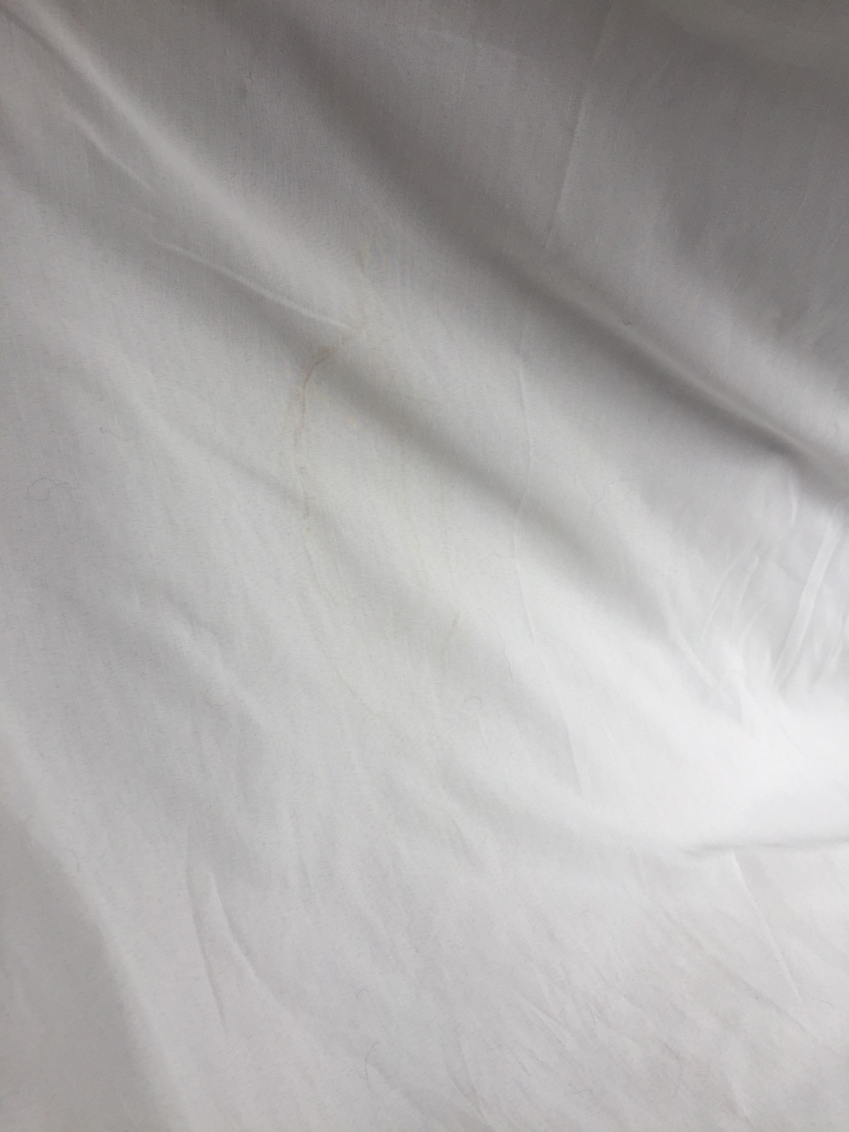 Picture 3 of 11
