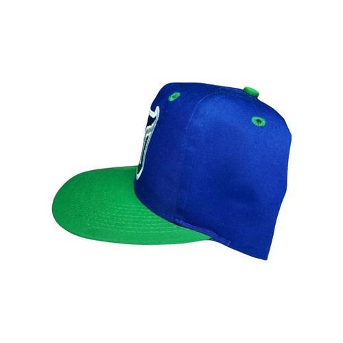 vtg rare nhl hartford whalers logo 7 two tone snapback hat cap - Picture 2 of 4
