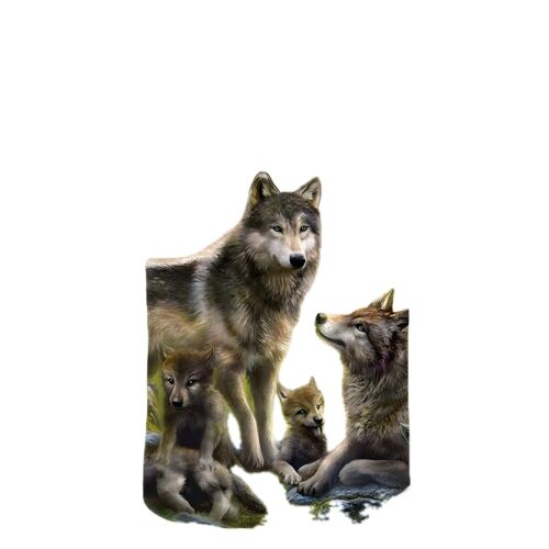 Stylish 3D Wolf Graphic T-Shirt for Teens - Casual Short Sleeve Round Neck Top i - Picture 36 of 70