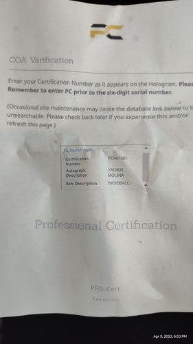 Yadier Molina signierter goldener Handschuh Baseball Echtheitszertifikat Profis Authentifizierung - Bild 13 von 13