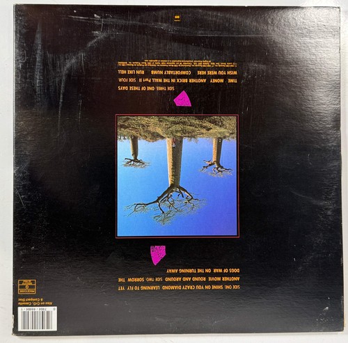 Pink Floyd- Delicate Sound of Thunder 2 LP - Columbia, PC2 44484 - Picture 2 of 17