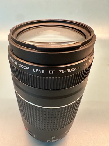 Canon EOS Rebel T6 with 18-55mm and 75-300mm Lenses Premium Kit - Picture 13 of 20