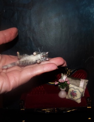 Realistic SLEEPING CAT MADE TO ORDER OOAK 1:12 Miniature Dollhouse handmade IGMA - Picture 3 of 5