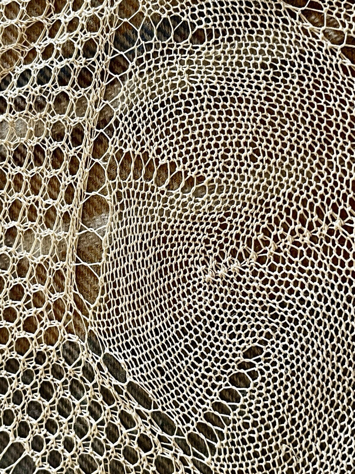 Picture 6 of 8