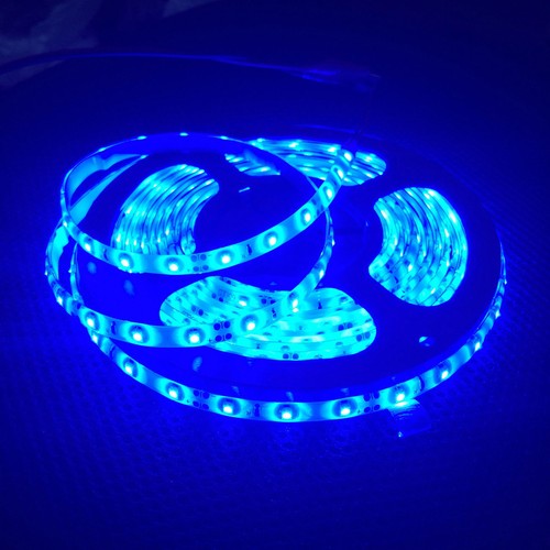 5M 2835 60LEDS/M Strip Light IP20/IP65 Flexible DC 12V 300led Free Shipping HOT - Picture 6 of 10