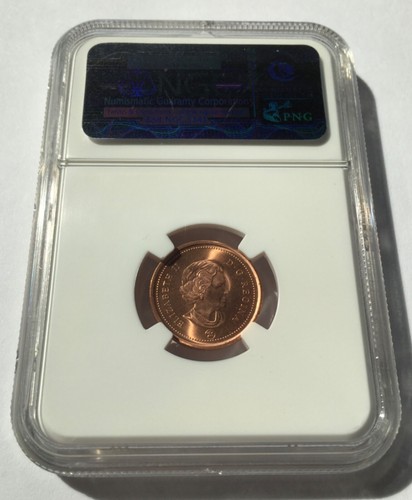 2010 CANADA MS66 RD & MS67 RD COPPER-PLATED ZINC 1C SET!!! - Picture 9 of 10