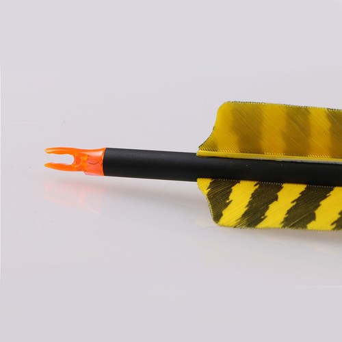 Flechas de carbono 6/12 piezas 30" SP500 puntas de plumas compuesto arco recurvo objetivo de caza - Imagen 30 de 31