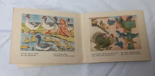 Vintage Unsere Haustiere by Johannes Geyer German Illustrated Children Book Pets - Picture 6 of 6