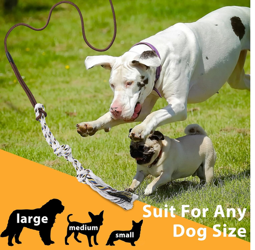 Pets puppy Dog Flirt extend Stick Pole rod Fleece Rope Toy Dog Chase playing fun - Picture 5 of 6