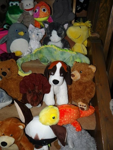 Choice : Plush Kohls Kohl's Stuffed Toy Baby Toddler Storybook Character Teacher - Picture 9 of 279