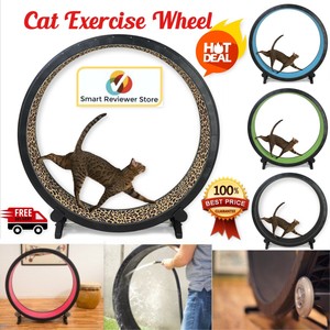 cat exercise wheel indoor