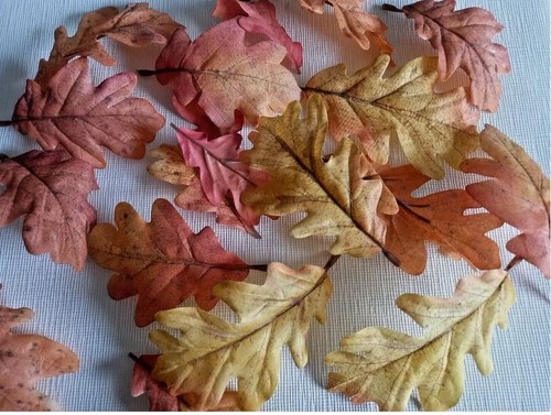 Herbstblätter 20 Eichenblätter Herbstfarben Laub div.. Größen 9x5,3 + 13,5cm neu - Bild 2 von 3