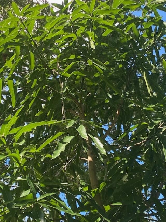 Picture 20 of 24
