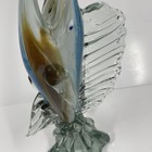 Foto 14 di 24