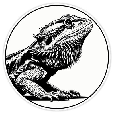 Aufkleber Sticker ''Bartagame Eidechse'' (DW059157)