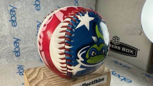 Vermont Lake Monsters Bandera EE. UU. Promocional Recuerdo Béisbol ¡Encontrar raro!⚾️ - Imagen 2 de 12