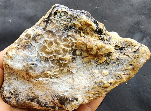 18,41 oz (522 gr) Dendritischer Opal grob, Dendritische Opalplatte, Lapidar Pfund - Bild 7 von 14