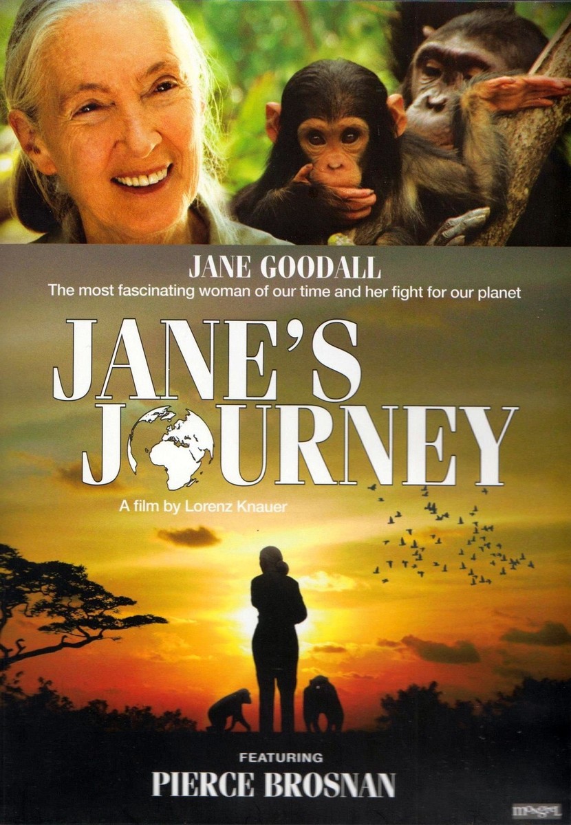 その他 Unforgettable Journey [DVD] [Import] その他 Unforgettable Journey [DVD] [Import] Unforgettable