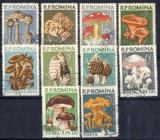 Romania 1958 MUSHROOMS, Fungi, Pilze, Champignons, Setas, Fungos, USED +cutting