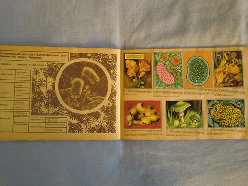 Álbum cromos completo ZOOLOGÍA Y BOTÁNICA (1969) de MAGA. Buen estado 288 cromos - Imagen 18 de 24