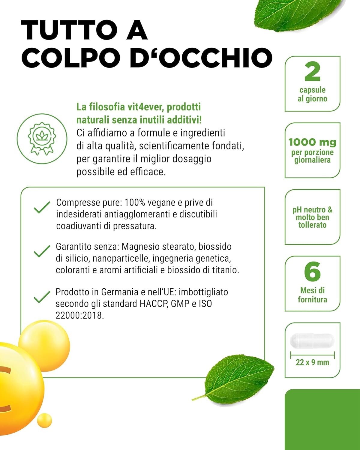 Foto 4 di 7