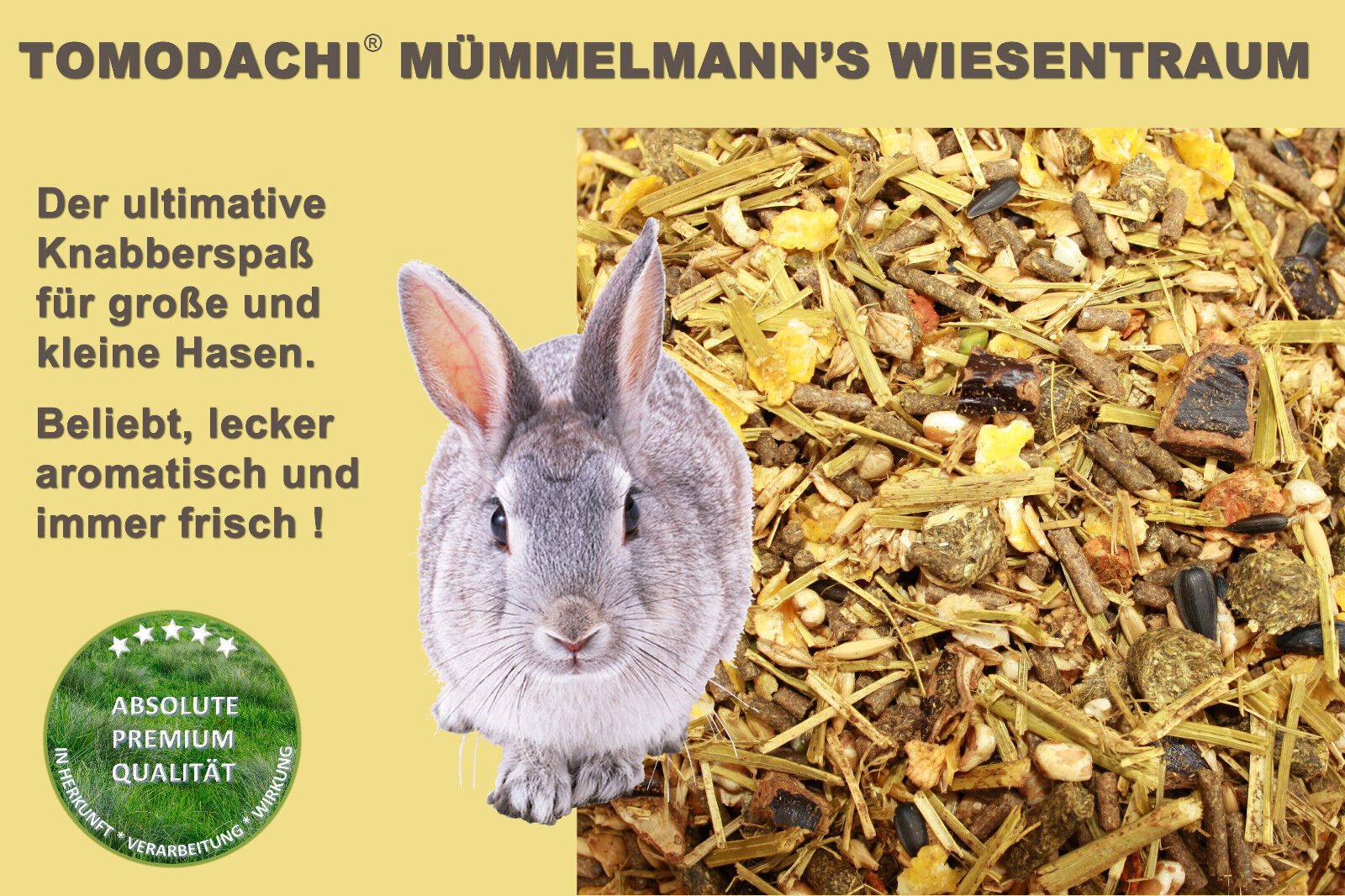 Bild 3 von 7