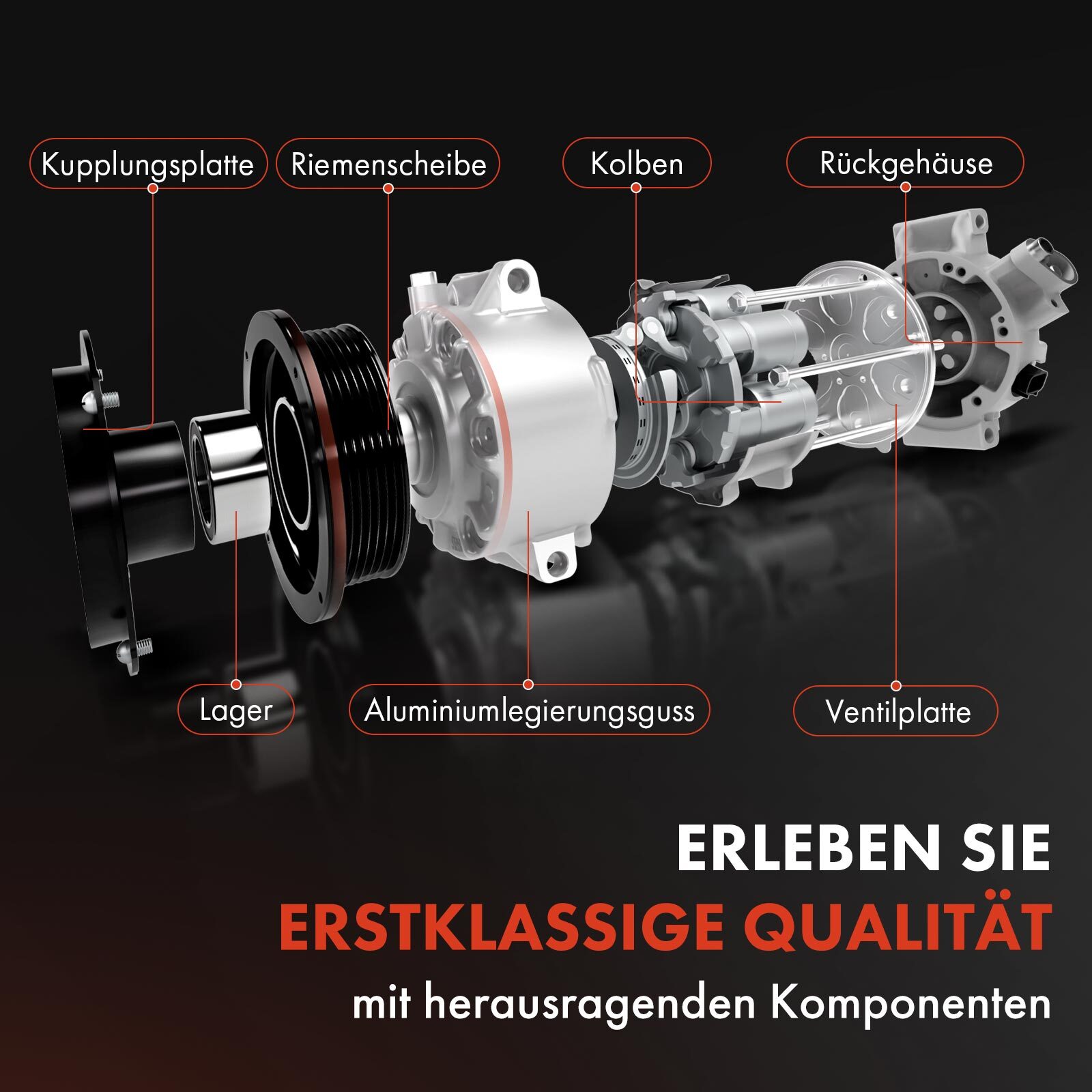 Bild 7 von 8