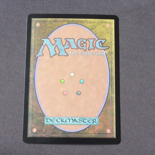 Plains FOIL 265 NM MTG Bloomburrow Land - Picture 2 of 2