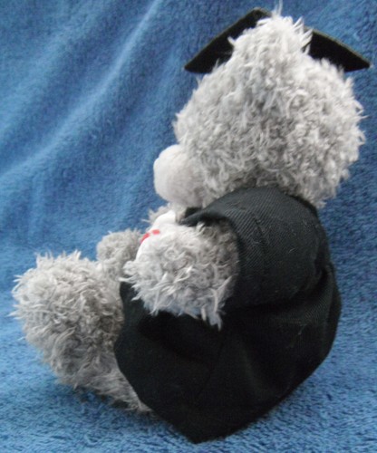 *2505* Bear - Graduation hat & Scroll - ME to You / Carte Blanche - plush – 15cm - Picture 3 of 5