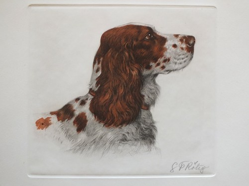 Georges Frederic Rötig - signierte Auflage - Cocker Hund (Feuer) - Bild 1 von 7